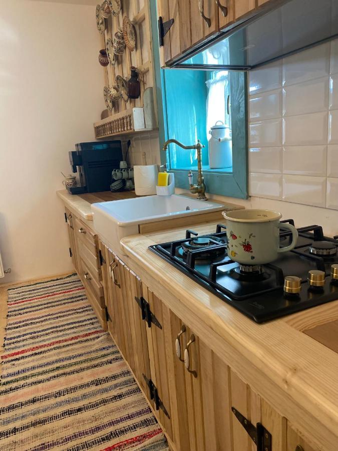 La Bujda Lu Mosu Βίλα Borşa Εξωτερικό φωτογραφία